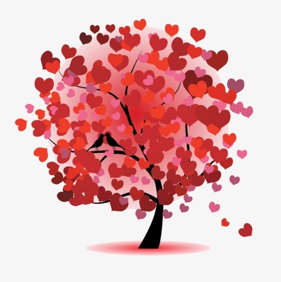 Clothing - Picture 1 of 1